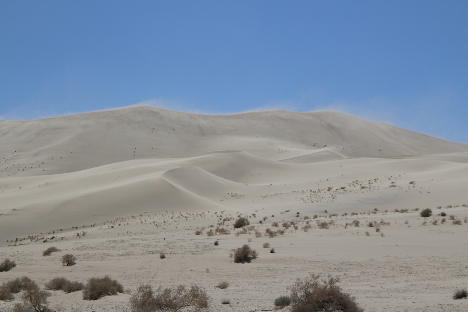 Eureka Dunes - Sharing Horizons