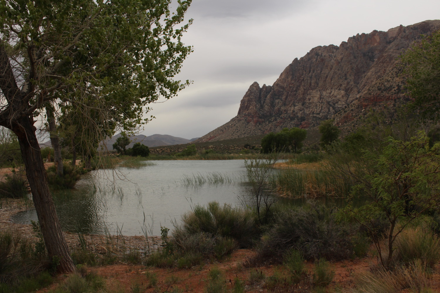 Spring Mountain Ranch State Park - Sharing Horizons