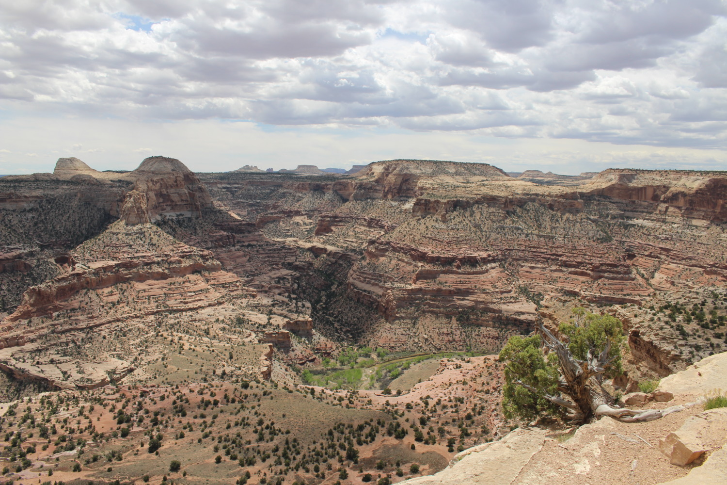 Little Grand Canyon of Utah - Sharing Horizons