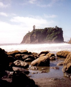 We went to Olympic National Park in 1998 and I would love to return