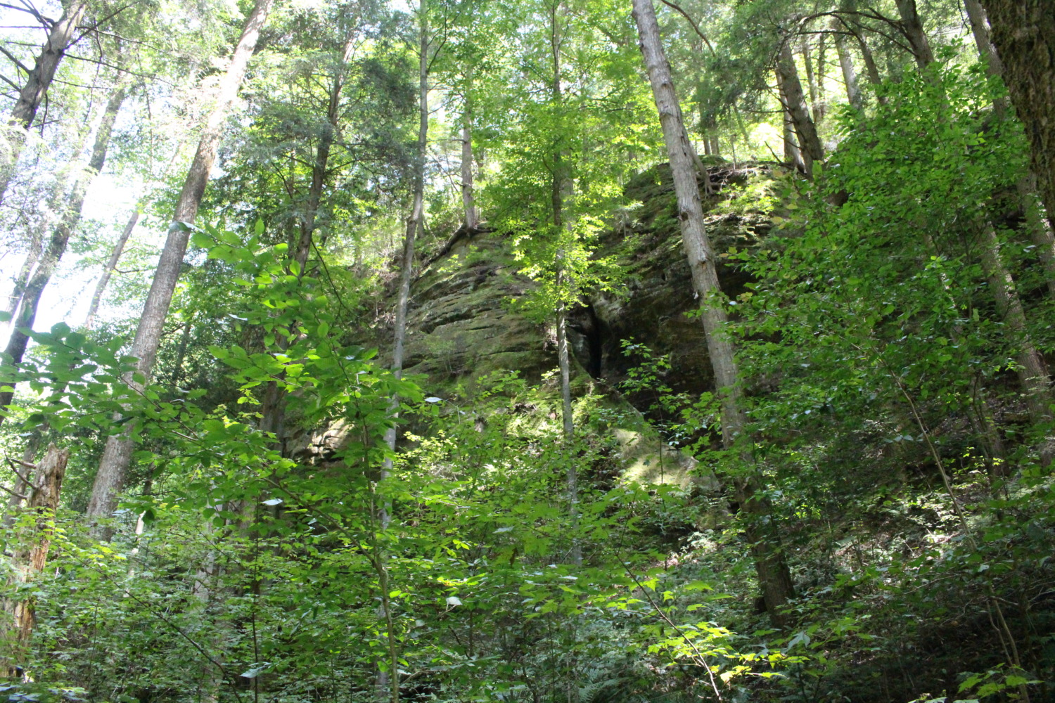 Grand Canyon of Ohio: Conkle's Hollow - Sharing Horizons