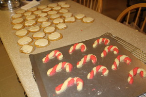 cookies 017
