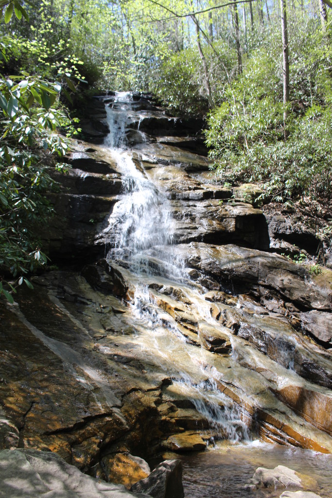 Grand Canyon of South Carolina - Sharing Horizons