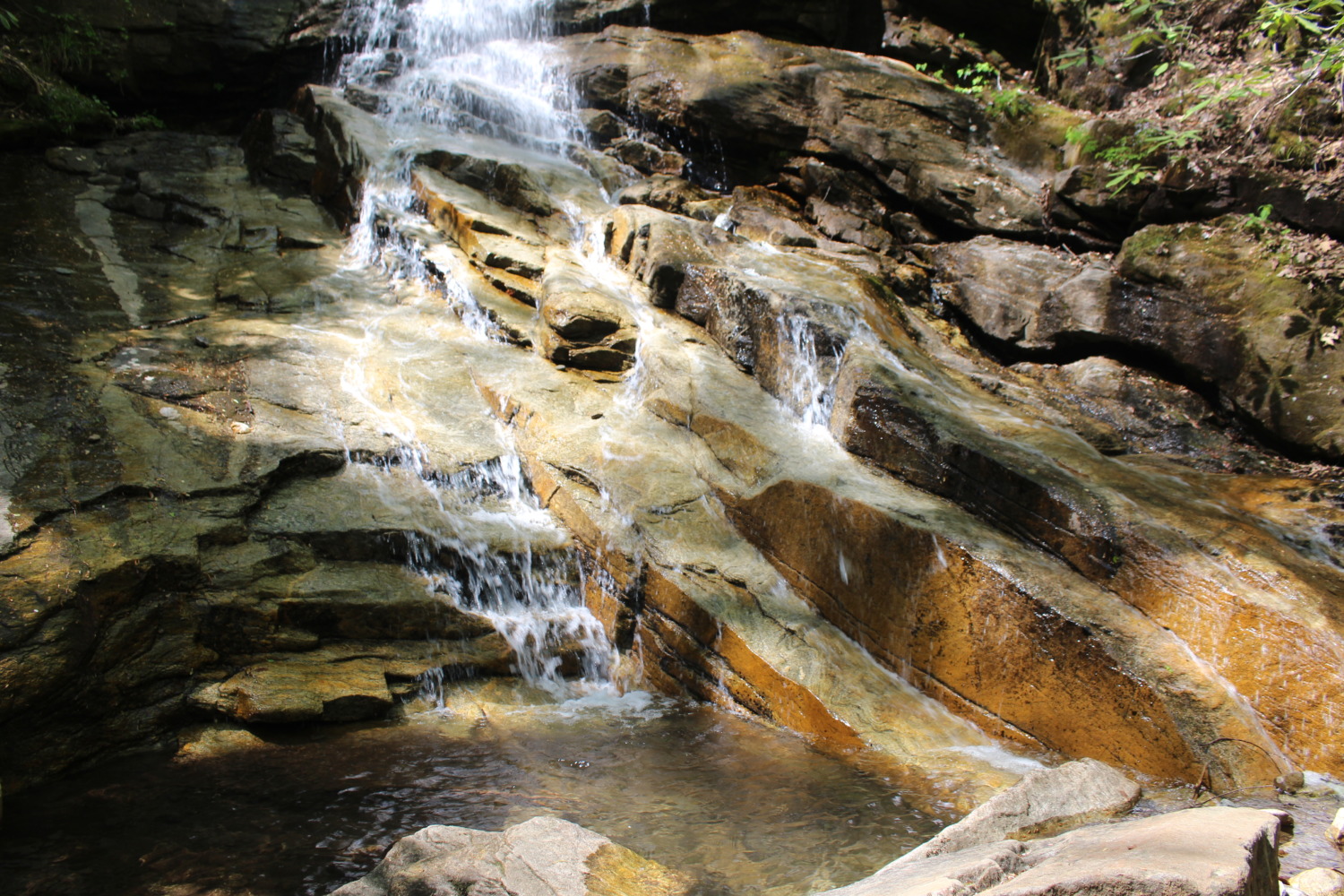 Grand Canyon of South Carolina - Sharing Horizons