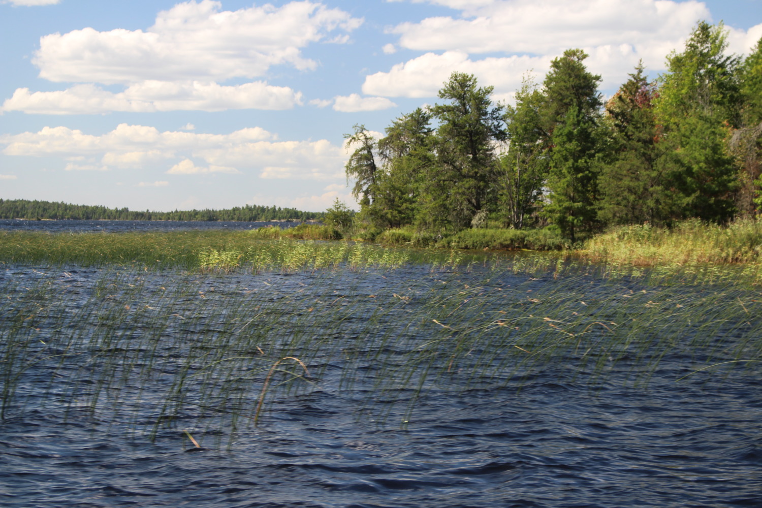 Voyageurs National Park Sharing Horizons