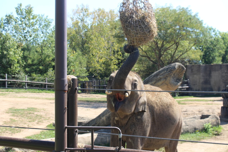 columbus zoo food