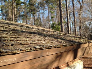 Old roof - it has character