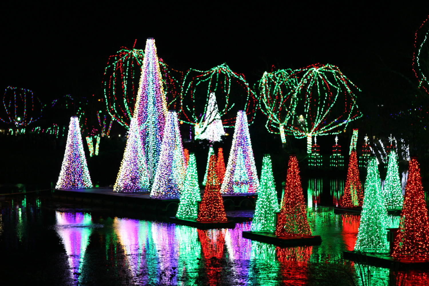 Wildlights at the Columbus Zoo - Sharing Horizons