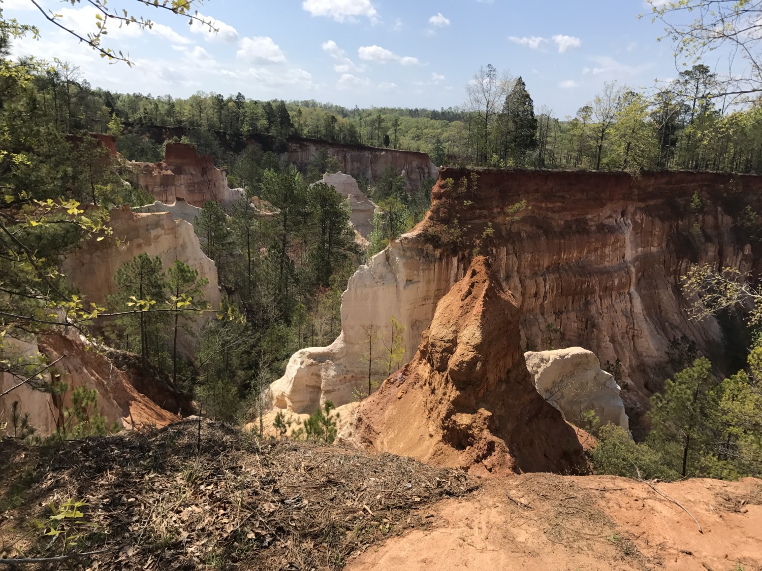 Georgia's Grand Canyon: A Journey into Earth's Beauty at Providence Canyon