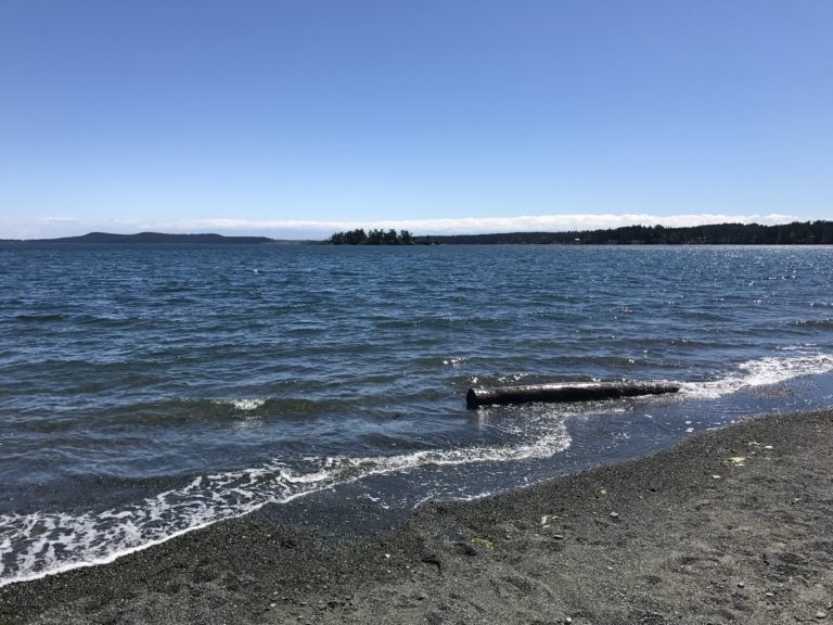 Jackson Beach, San Juan Island - Sharing Horizons