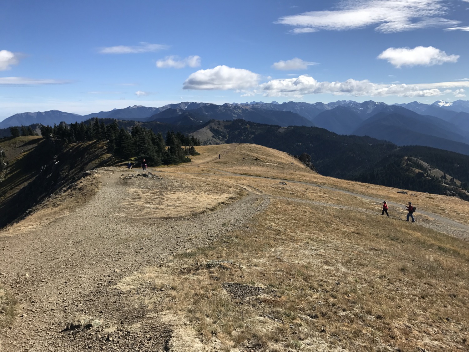 Hurricane Hill at Olympic National Park - Sharing Horizons