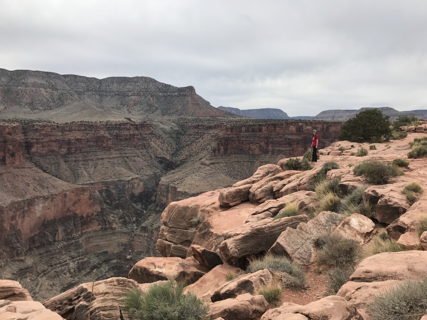 Tuweep / Toroweap Overlook Of The Grand Canyon - Sharing Horizons