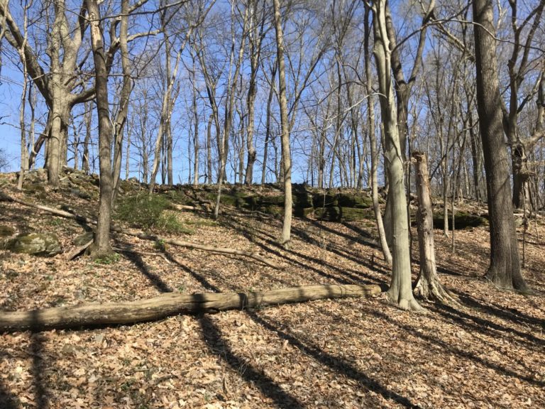 Glenford Fort Preserve, Perry County, Ohio - Sharing Horizons