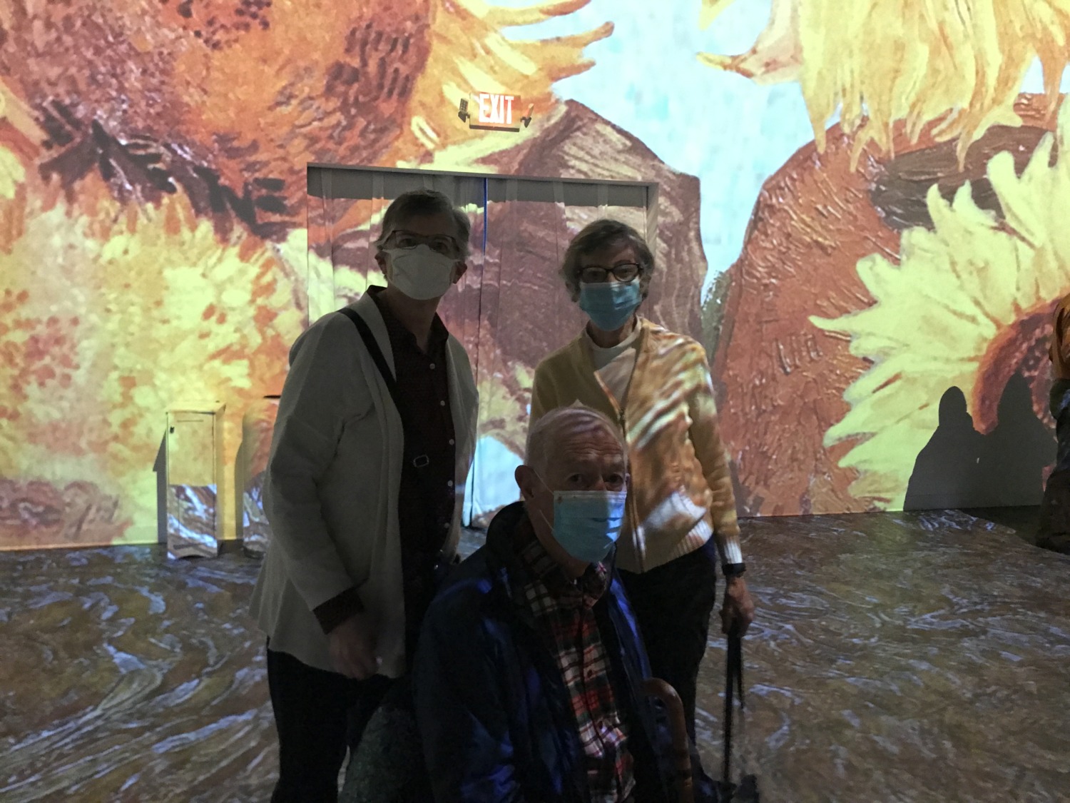 Immersive Van Gogh Exhibit in Columbus Sharing Horizons